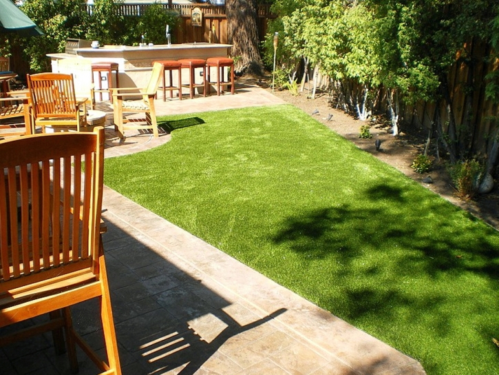 Green Lawn Avra Valley, Arizona Fake Grass For Dogs, Backyards