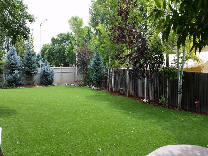 Green Lawn Tempe, Arizona Design Ideas, Backyard Landscaping
