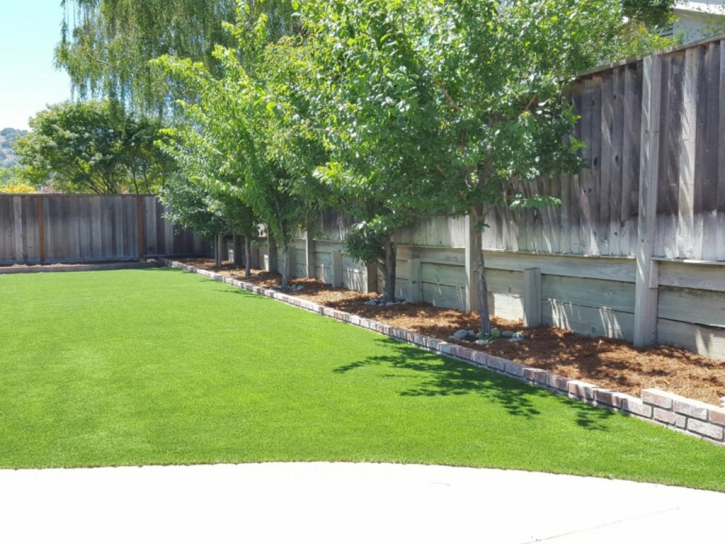 Installing Artificial Grass Nolic, Arizona Backyard Deck Ideas, Backyard Ideas