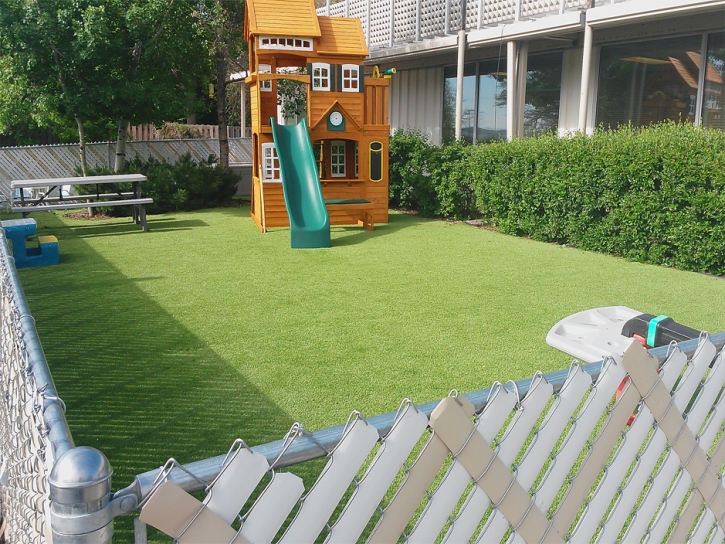 Installing Artificial Grass Picacho, Arizona Rooftop, Backyard Landscaping Ideas