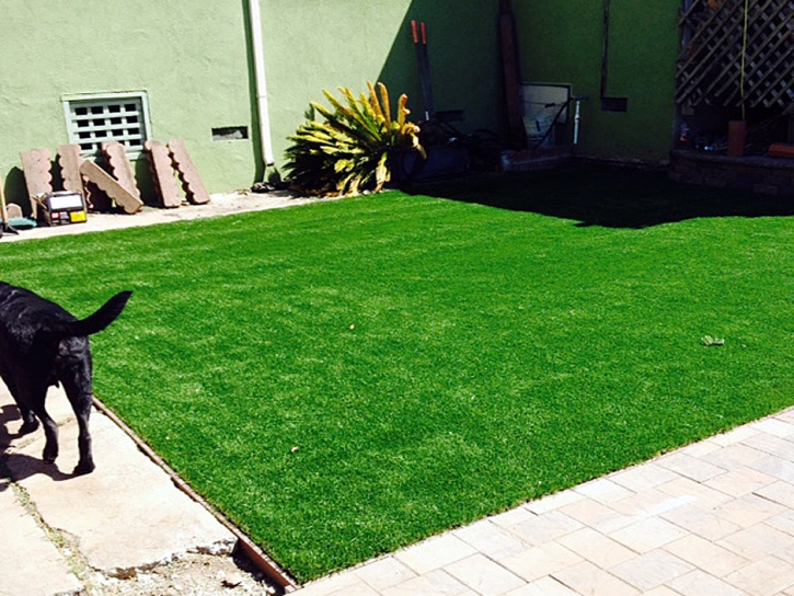 Installing Artificial Grass Santan, Arizona Cat Playground, Backyard Design