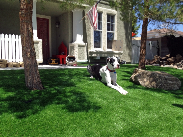 Outdoor Carpet Holbrook, Arizona Backyard Deck Ideas, Small Front Yard Landscaping
