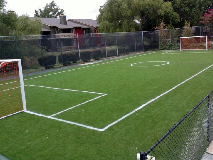 Plastic Grass Casas Adobes, Arizona Backyard Sports, Commercial Landscape