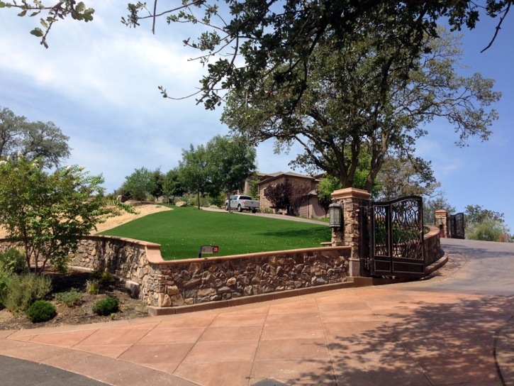 Synthetic Grass Cost Dudleyville, Arizona Paver Patio, Front Yard Design