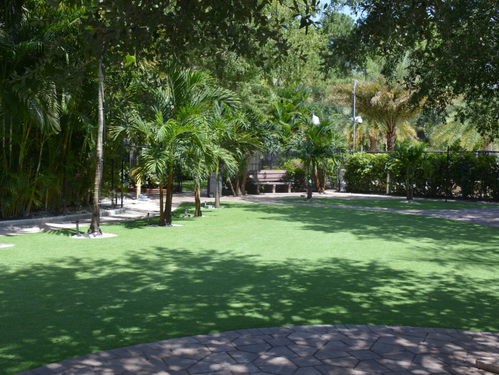 Synthetic Grass Cost Winkelman, Arizona Lawn And Garden, Commercial Landscape