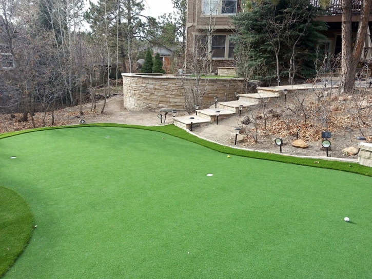 Synthetic Grass Sun City, Arizona Putting Green, Small Backyard Ideas
