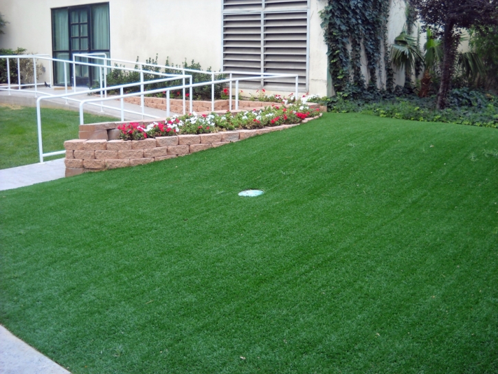Synthetic Grass Valle, Arizona Putting Green Flags, Front Yard Landscape Ideas