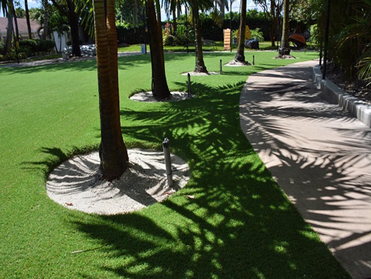 Synthetic Lawn Mammoth, Arizona Landscaping Business, Commercial Landscape