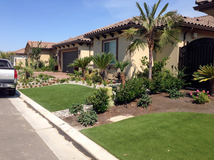 Synthetic Lawn Pinal, Arizona Garden Ideas, Front Yard Landscaping Ideas