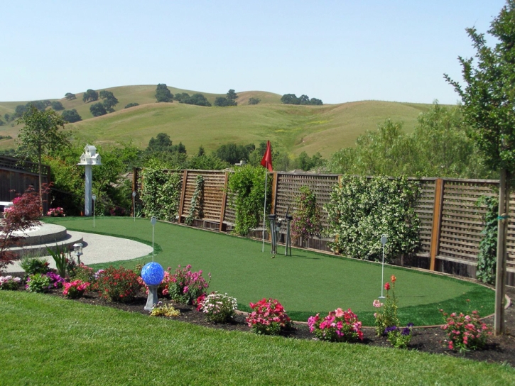 Synthetic Lawn Springerville, Arizona Roof Top, Small Backyard Ideas