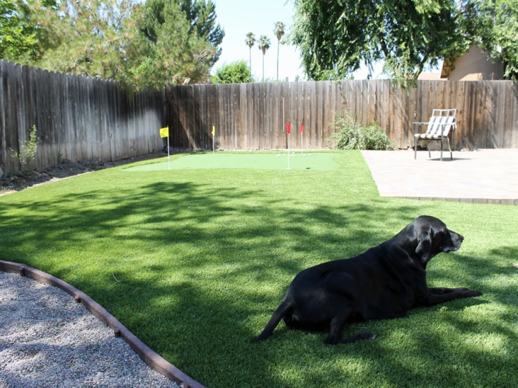 Synthetic Turf Supplier Miami, Arizona Design Ideas, Backyard Design