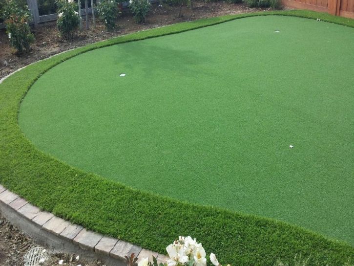 Synthetic Turf Supplier Paradise Valley, Arizona Landscape Rock, Backyard Ideas