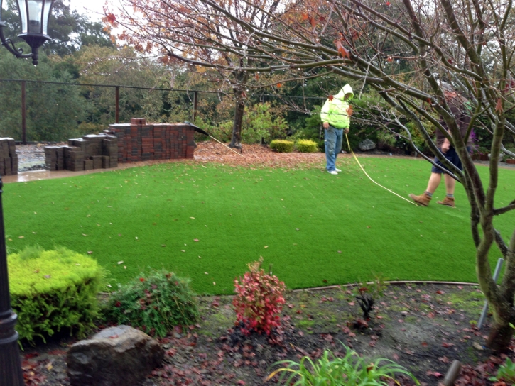 Synthetic Turf Supplier Sedona, Arizona Home And Garden, Backyard Designs